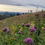 Vey'nes & Vey'ne * Ehrenberg (Hessen)