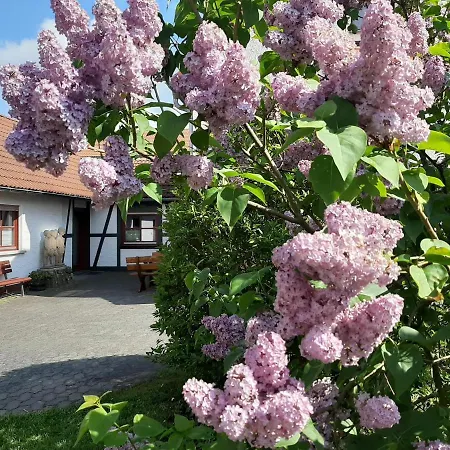 Apartamento Vey'nes & Vey'ne *