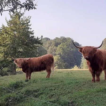 Vey'nes Ferienhaus&vey'ne * Ehrenberg (Hessen)