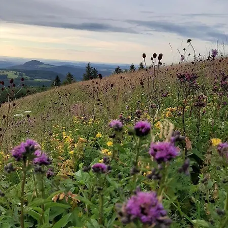 Vey'nes & Vey'ne * Ehrenberg (Hessen)