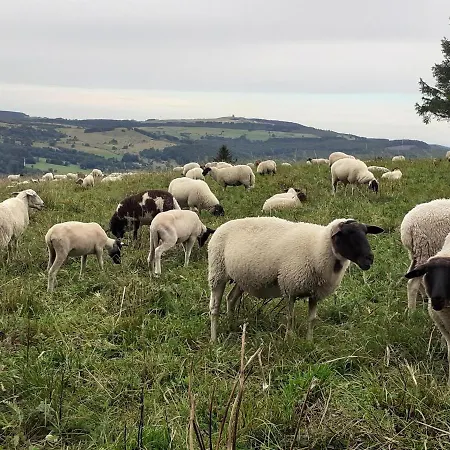 Appartement Vey'nes & Vey'ne Ehrenberg (Hessen)