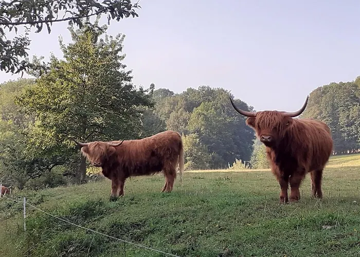 Vey'nes & Vey'ne * Ehrenberg (Hessen)