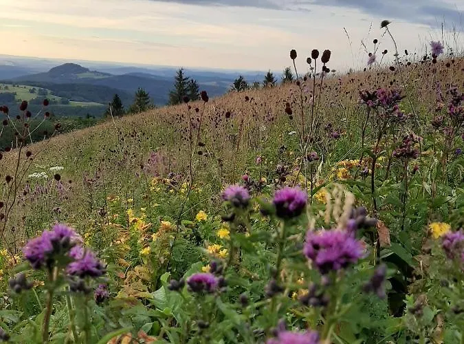 Vey'nes & Vey'ne * Ehrenberg (Hessen)